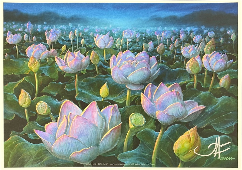 MTG専門店|東京MTG】MTGカード・アート通販サイト