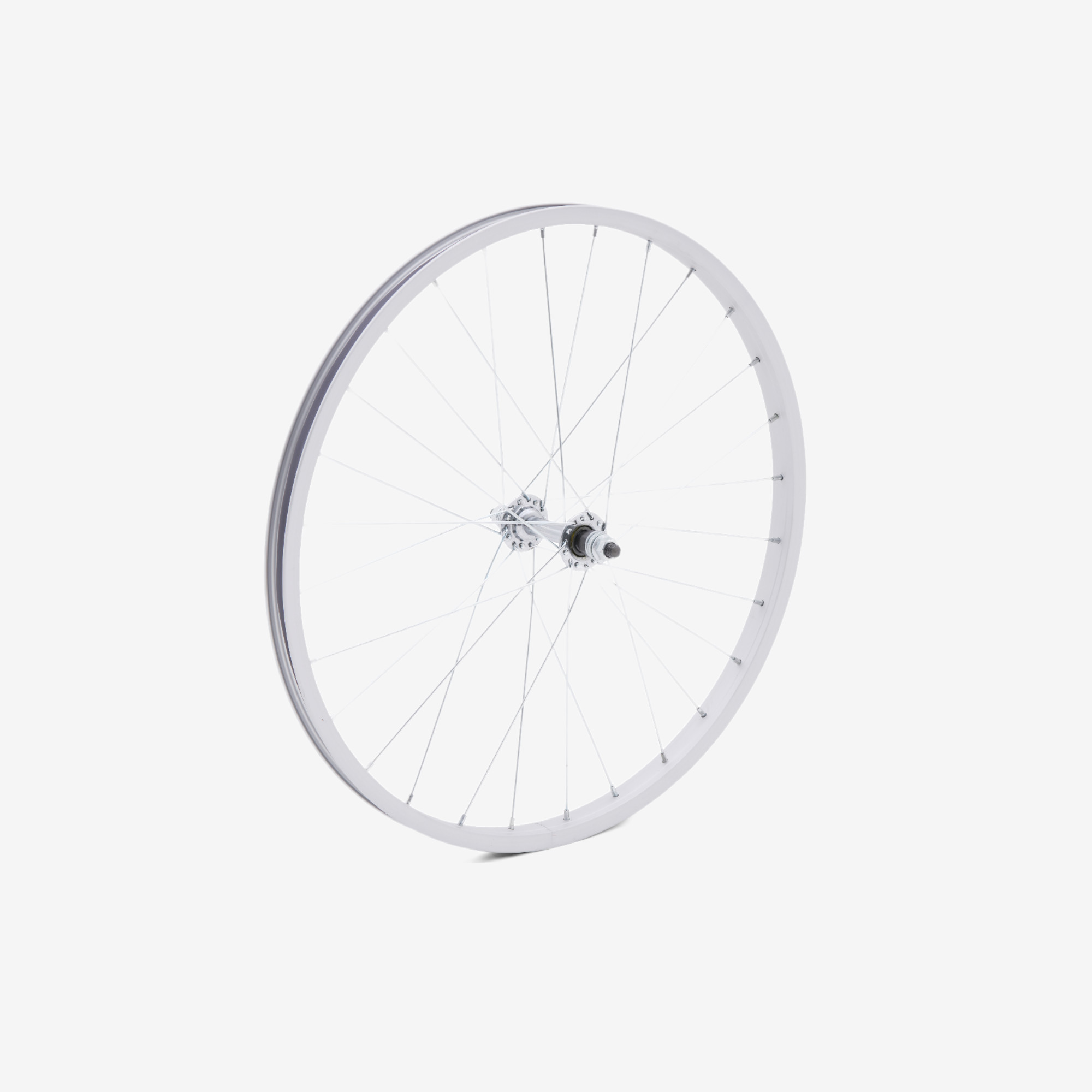 TOKYOBIKE Jr. 用ホイール 20インチ - トーキョーバイク