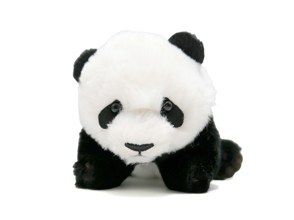 商品詳細ページ