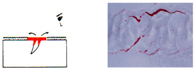 浸透探傷試験（カラーチェック）とは？ | ステンレス 製缶板金加工.com