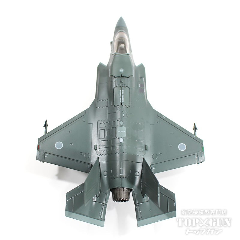 Hobby Master F-35B 航空自衛隊 第3航空団 第301飛行隊（想定） （主翼