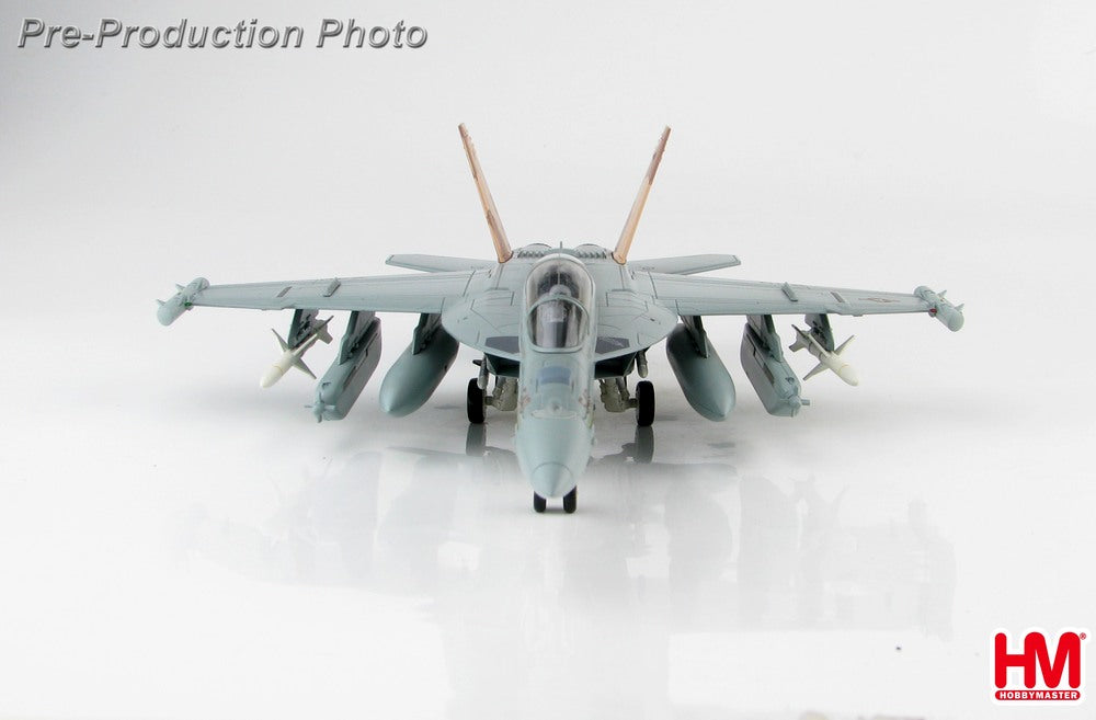 Hobby Master EA-18Gグラウラー アメリカ海軍 第132電子戦飛行隊