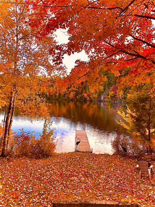 行ってよかったカナダの紅葉】おすすめ「イースタン・タウンシップス