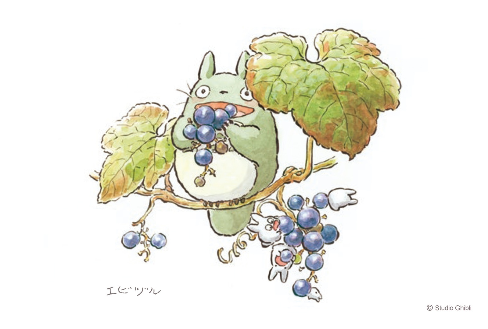 ポストカード,カード,トトロ,文房具