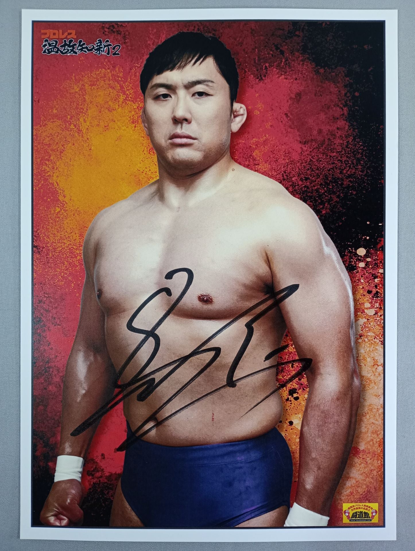 ☆プロレス温故知新2☆ 鈴木秀樹 直筆サイン入りポートレート(C) – 闘道館