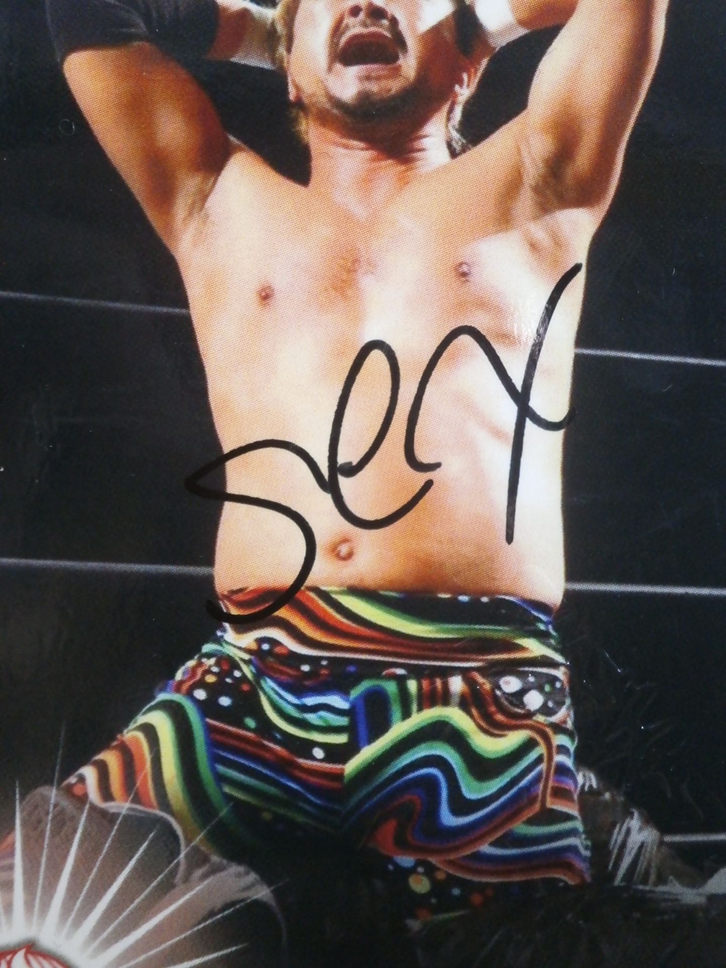 2018 大阪ミクスチャ×DOVE×BASARA レイパロマ 公式サインカード① – 闘道館