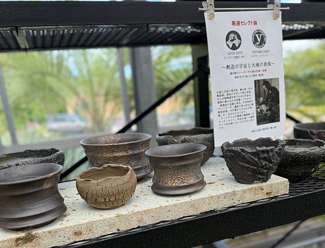 プランツマン・タカネザワ（塊根植物専門店）にてよこやま鉢販売開始