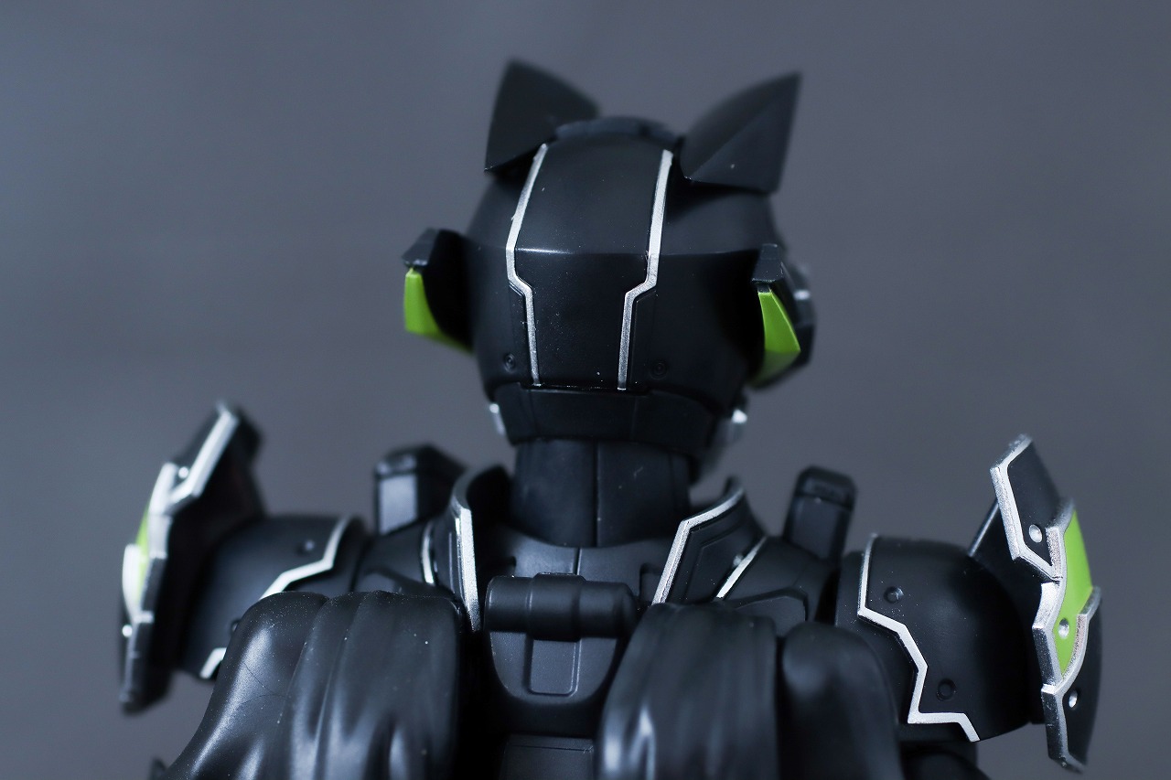 S.H.フィギュアーツ 仮面ライダータイクーン ブジンソード レビュー