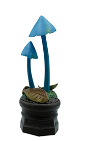 きのこ立体図鑑 【Qualia】