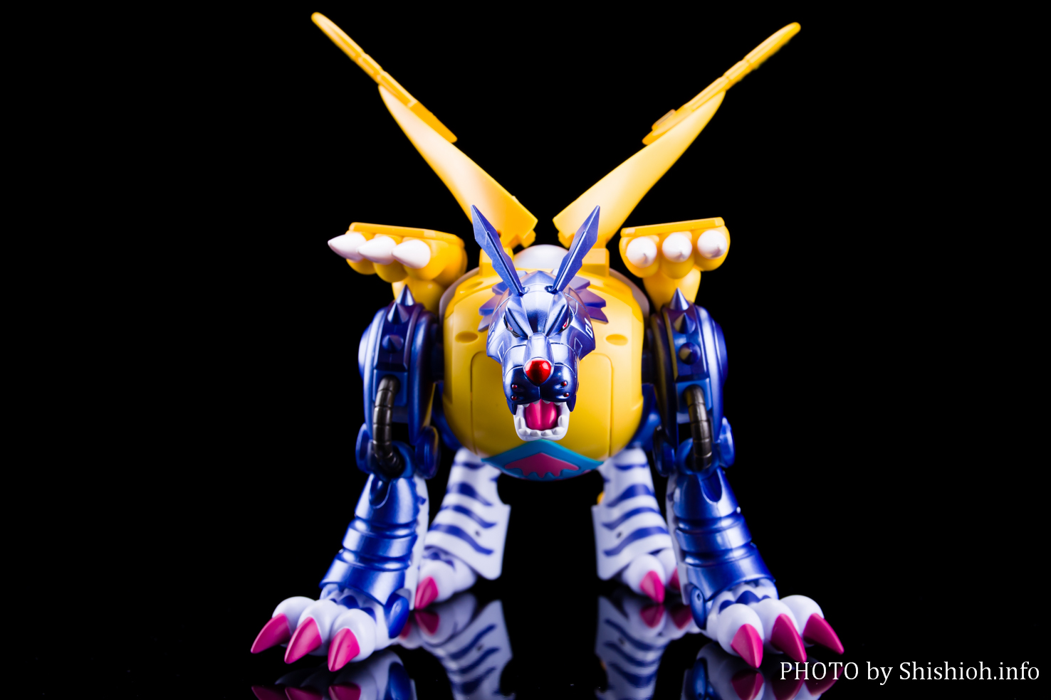 レビュー】超進化魂 02 メタルガルルモン