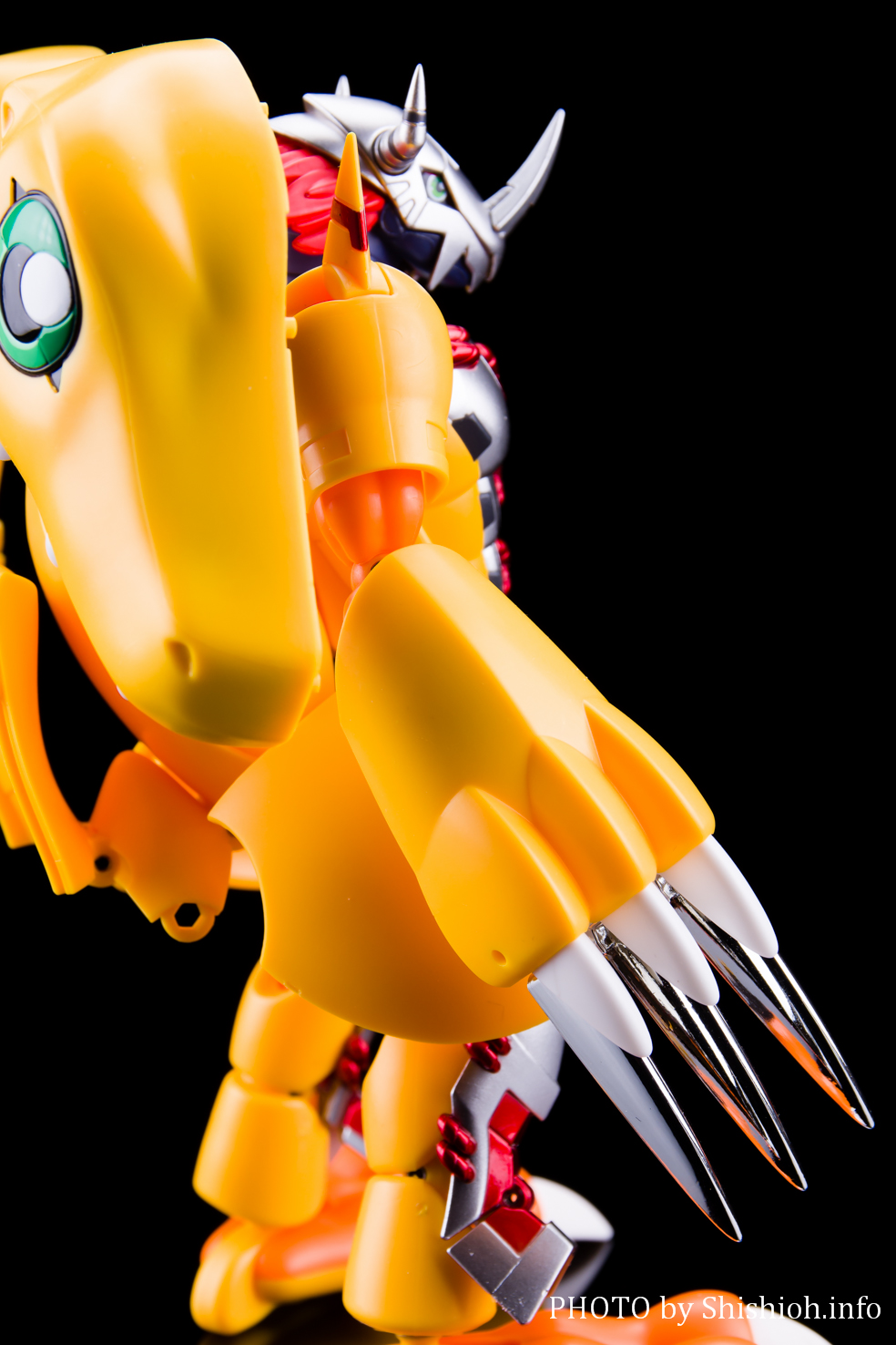 レビュー】超進化魂 01 ウォーグレイモン(商品サンプル)