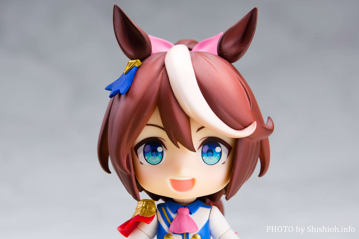 レビュー】ねんどろいど トウカイテイオー