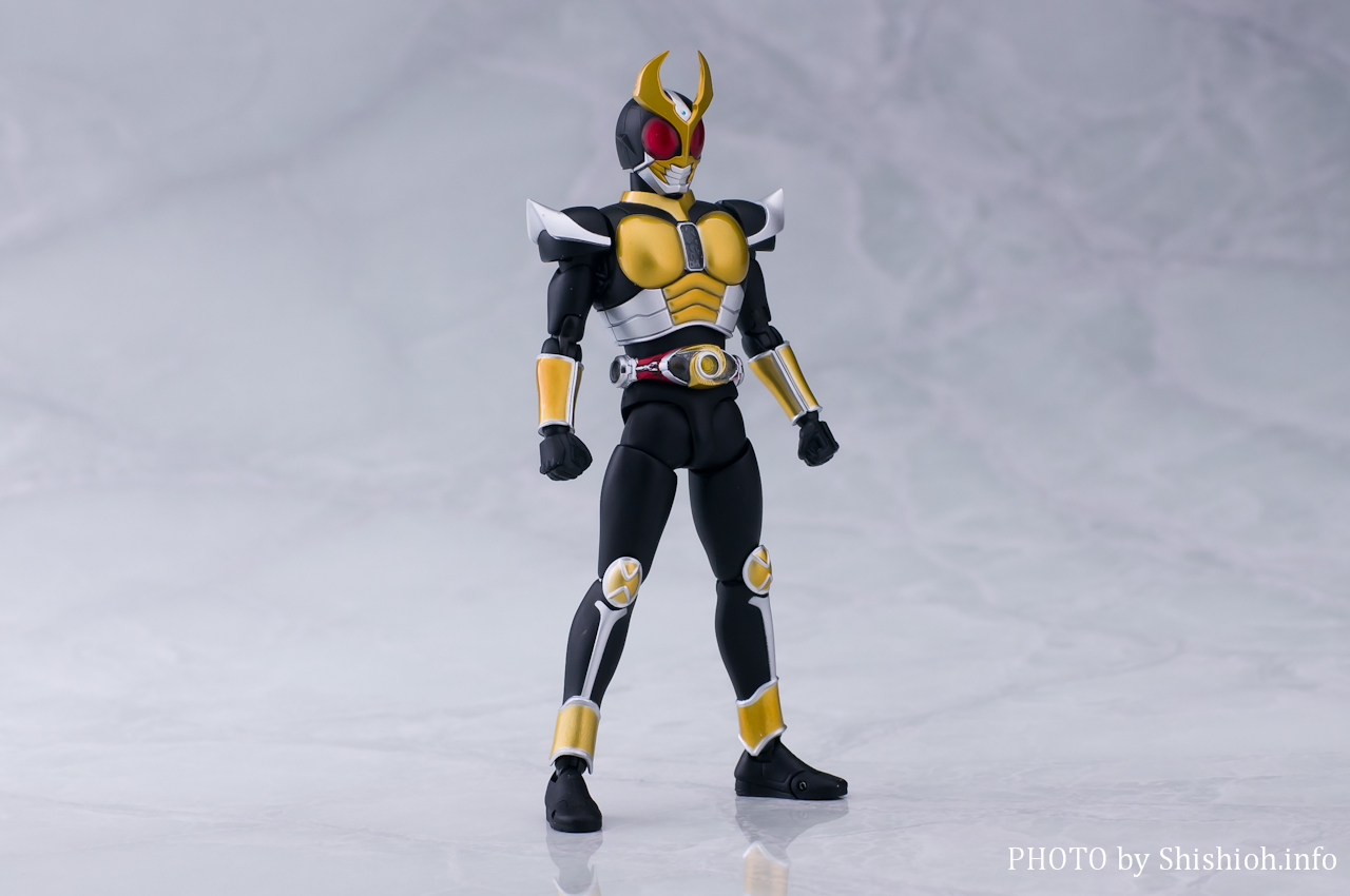 レビュー】S.H.Figuarts（真骨彫製法） 仮面ライダーアギト グランド