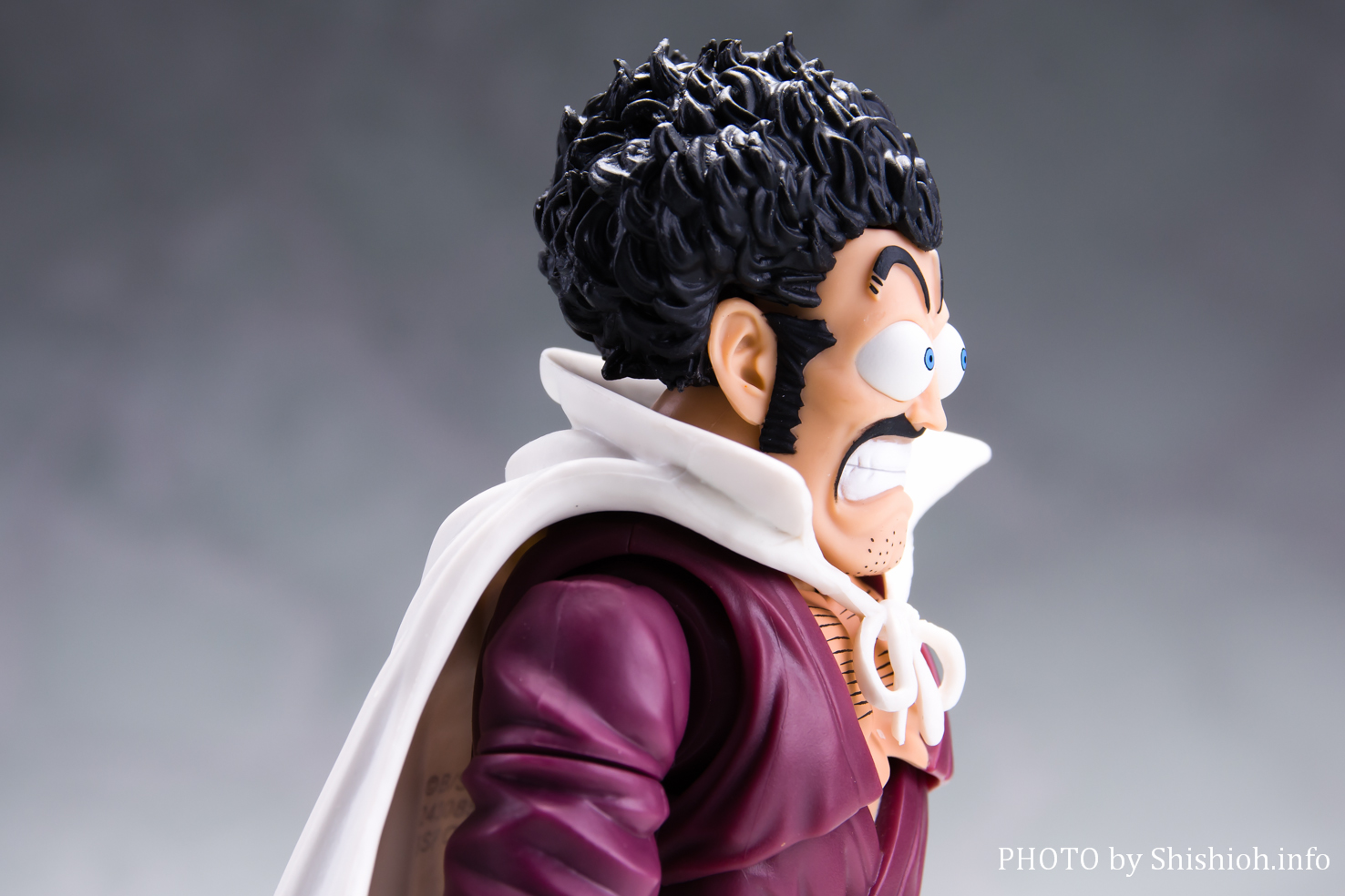 レビュー】 S.H.Figuarts ミスターサタン