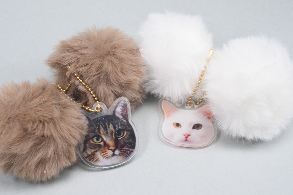 にゃんたますこっと」 アミューズ カプセルトイ ガチャガチャ #フォト