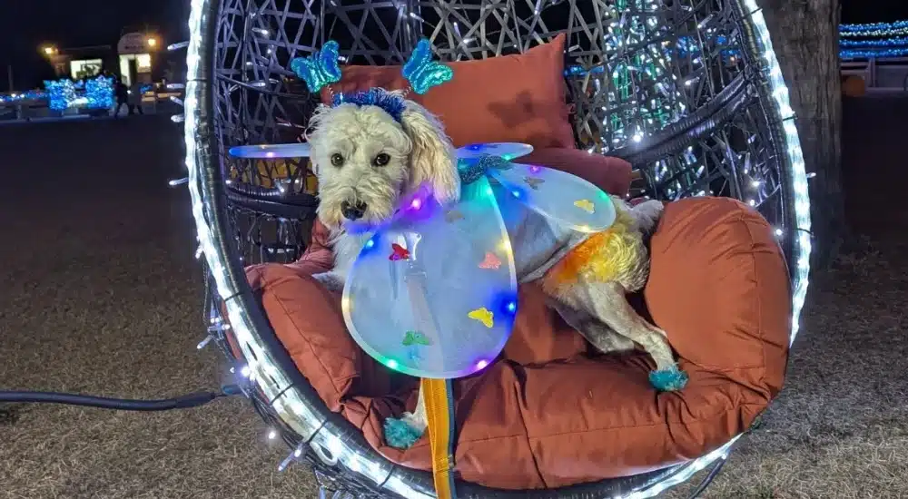 トライト株式会社