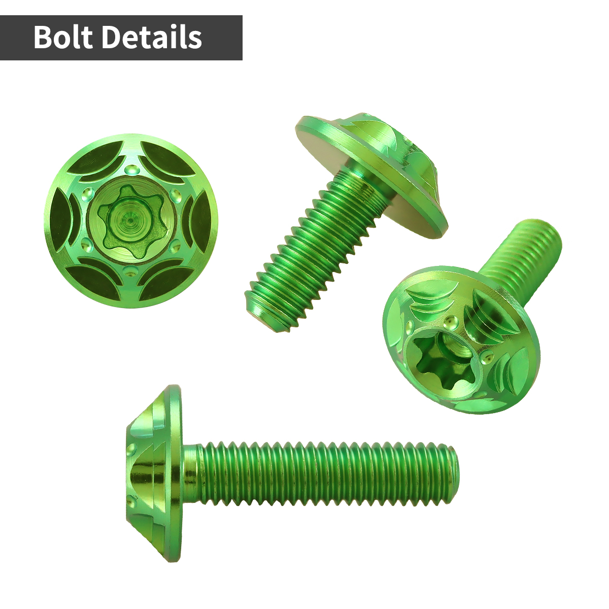 チタンボルト フランジ付き スノーヘッド トルクス穴 ボタンボルト M6