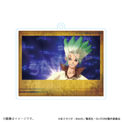 Dr.STONE アクリルキーホルダーコレクション NEW WORLD ver. Dr