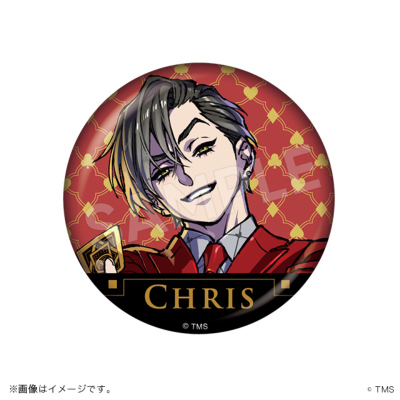 HIGH CARD ホロ缶バッジ HIGH CARD トムスショップ