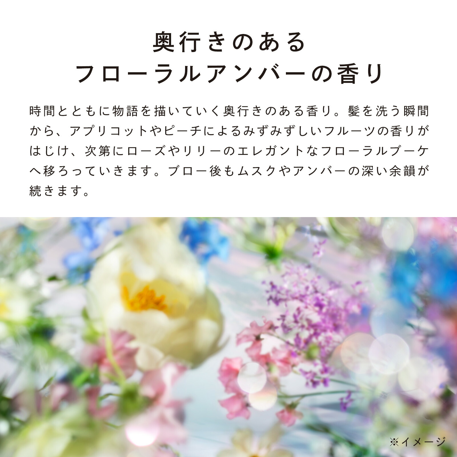 楽天市場】リファビューテックシャンプー 詰め替え 1000mL & リファ