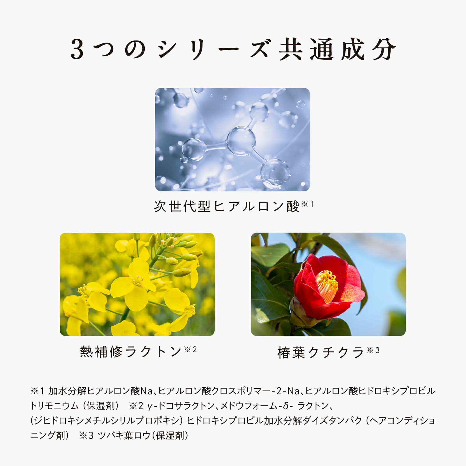 楽天市場】リファビューテックシャンプー 詰め替え 1000mL & リファ