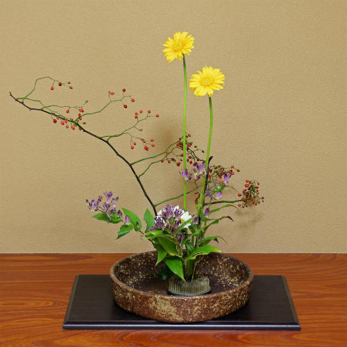 楽天市場】信楽焼 水盤 窯肌 切立 丸 10号 生け花 花器 池坊 小原流