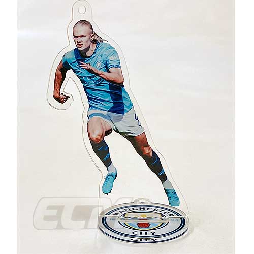 楽天市場】【SALE20%OFF】【24-25】MC4015【国内限定】マンチェスター