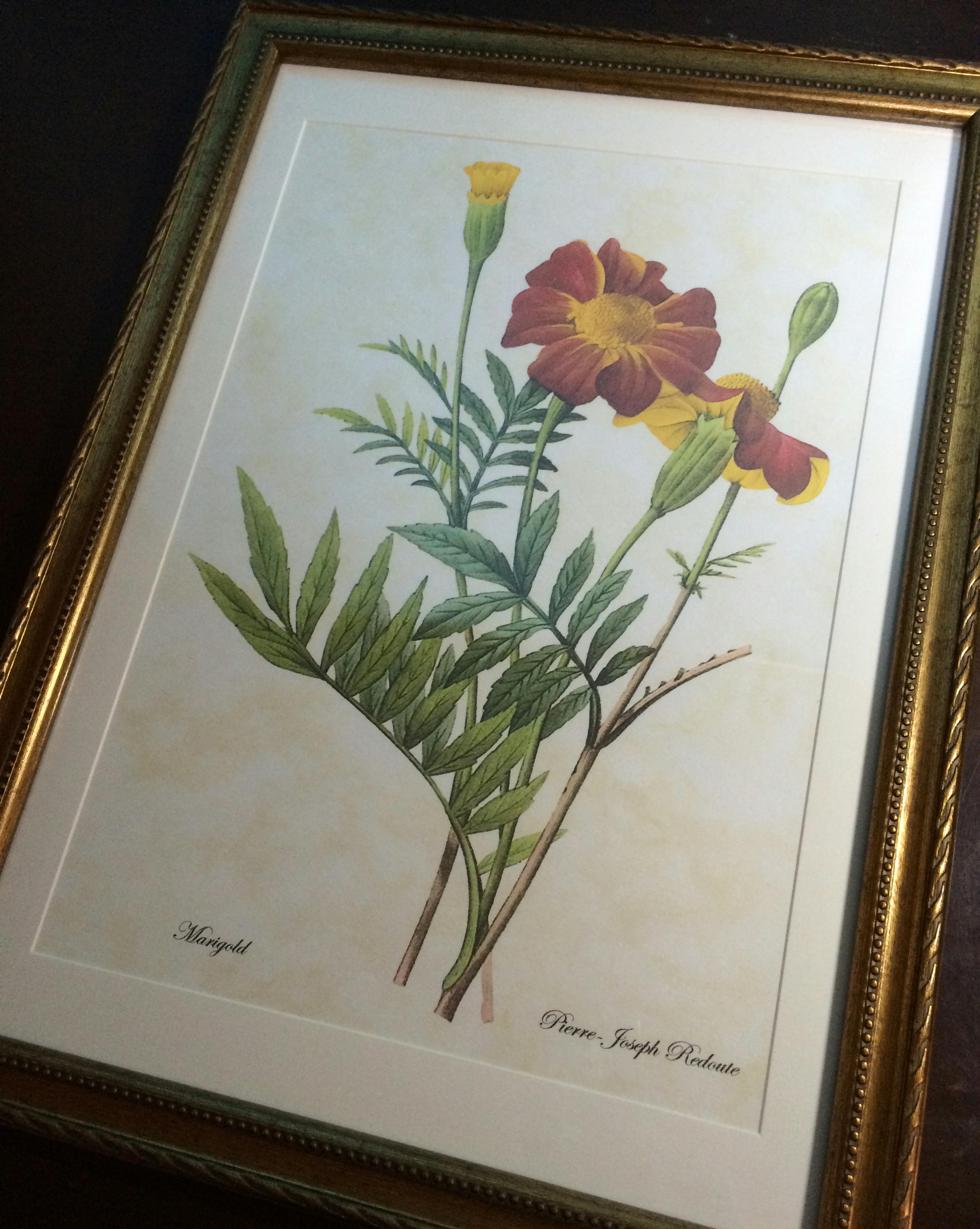 楽天市場】Pealimo インテリア 絵画 植物 ピエール ジョゼフ