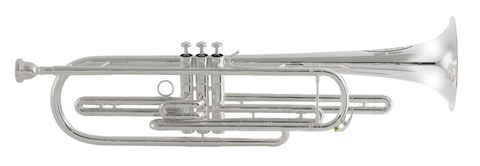 楽天市場】ピストン バストランペット Behning & Sons ブランド