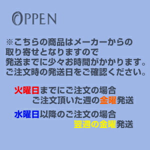 楽天市場】オッペン化粧品 OPPEN クレンジング DRブライトアップ