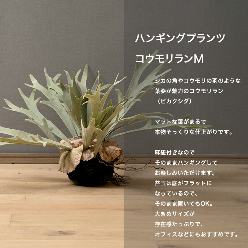 楽天市場】[全品10％OFF×5日限定クーポン+P10倍 5日20時〜4H]フェイク