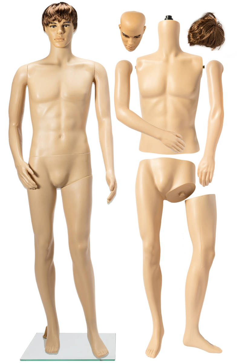 楽天市場】等身大 マネキン 男性 身長185cm B94cm×W75cm×H95cm カツラ