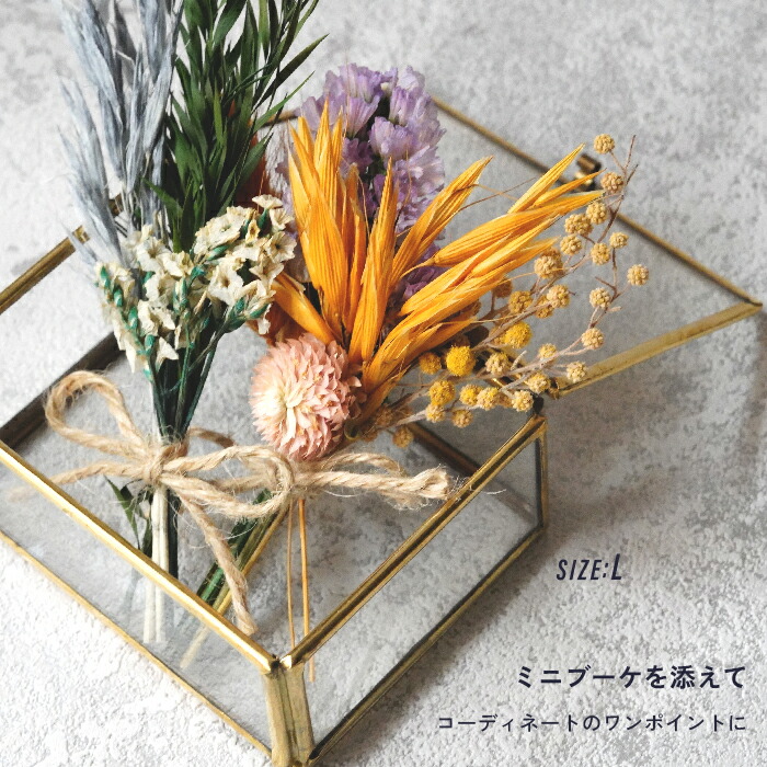 楽天市場】真鍮 ガラスケース スクエア 四角形収納ボックス ケース