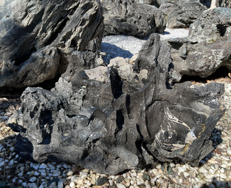 楽天市場】太湖石（たいこせき） 143 庭石 自然石 景石 鑑賞石 和風