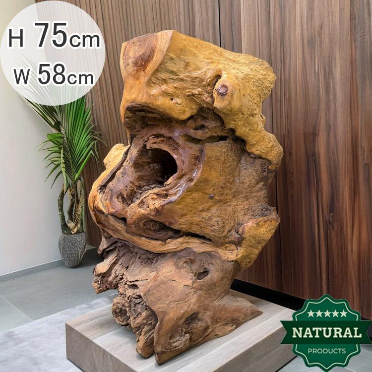 楽天市場】送料無料 自然 木 楠 花鉢 展示品 オブジェ H 75cm 家具