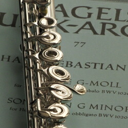 楽天市場】サンキョウ フルート エチュード(頭部管銀製) ニューEメカ付