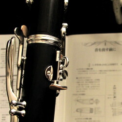 楽天市場】ヤマハ B♭クラリネット YCL-450 木製クラリネットの廉価版