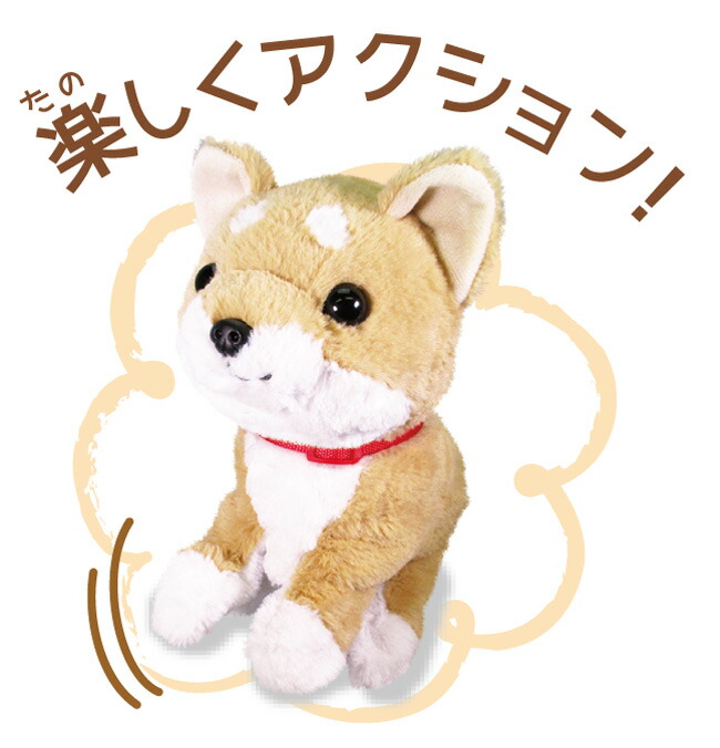 楽天市場】【P最大47倍&クーポン】《ラッピング包装無料》喋る 柴犬
