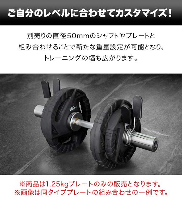 楽天市場】【楽天1位】ダンベルプレート 穴あき 1.25kg 2枚セット 穴径
