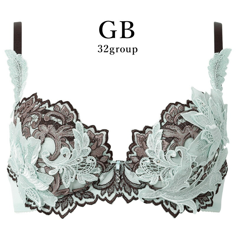 サルート ブラジャー」の人気商品一覧 | 安い商品を通販サイトから探す