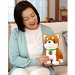 楽天市場】【365日出荷】【おまけ付】しばいぬコウタ バンダナつき