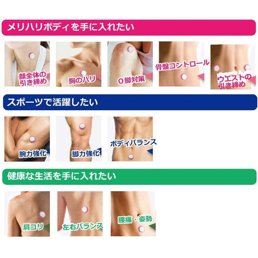 楽天市場】BLAF フィードバックディスク 1台～2台セット : メディア