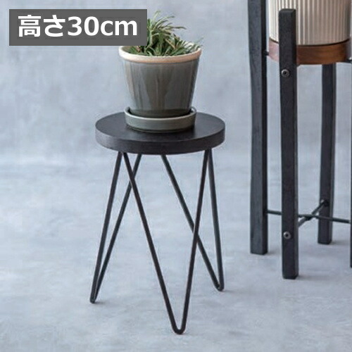 楽天市場】フラワースタンド サークルスタンド ブラック 高さ30cm