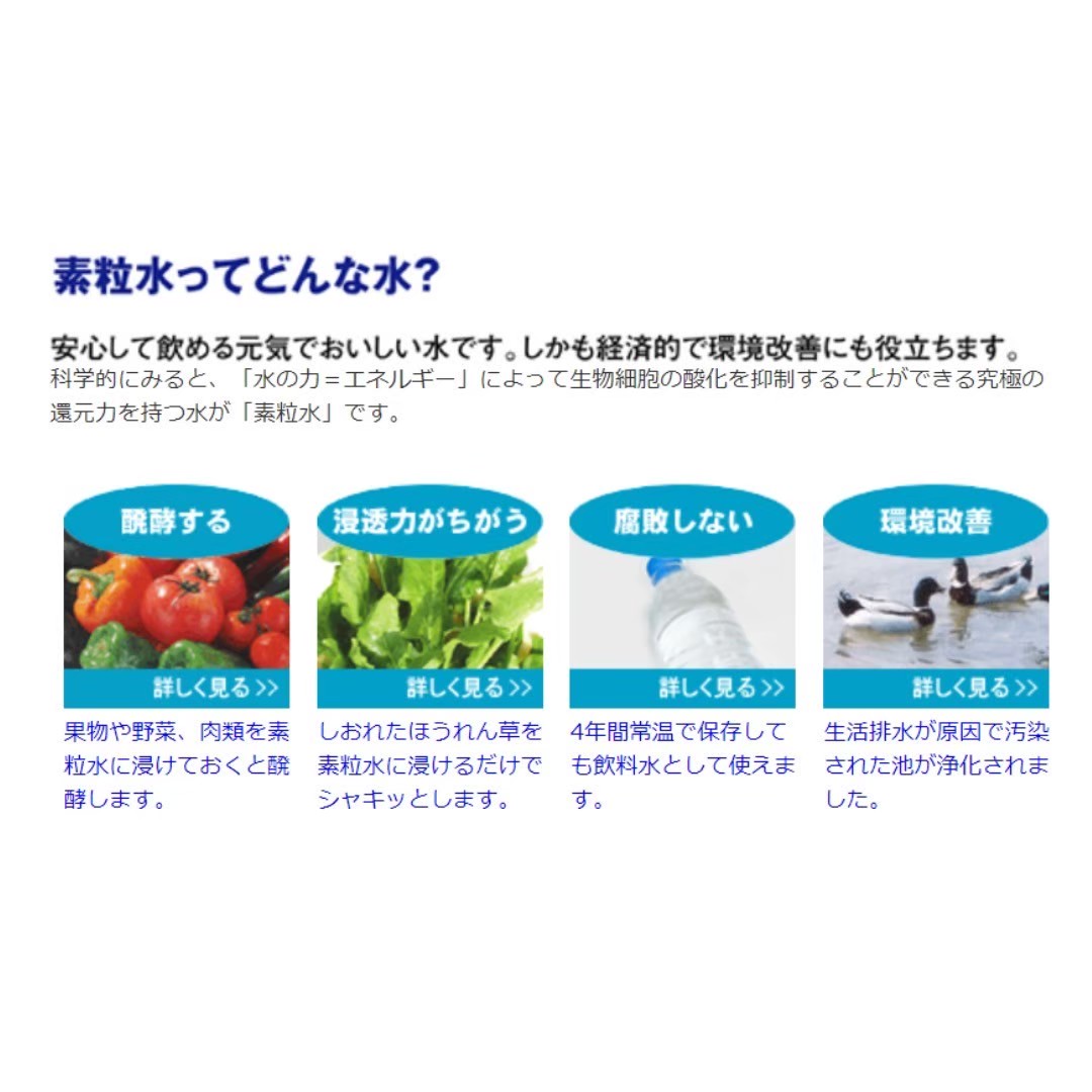 楽天市場】【楽天スーパーセール☆期間限定ポイントアップ中】2つの