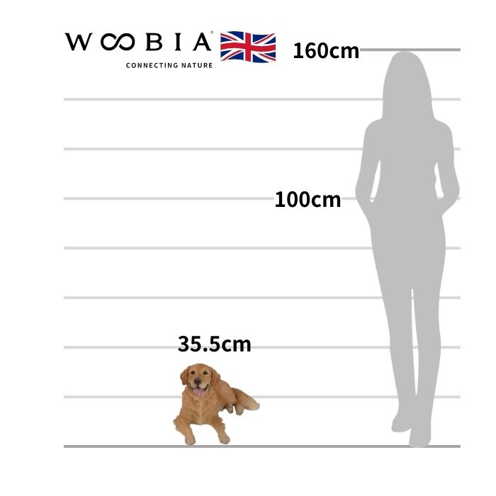 楽天市場】犬 置物 大きい 横たわるゴールデン レトリバー 特大 高さ