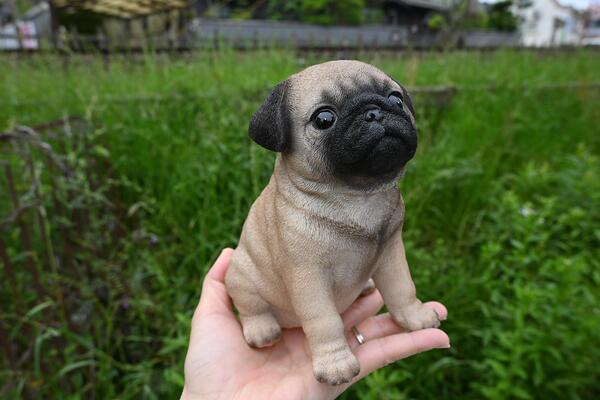 楽天市場】ぶさかわ 犬 3個セット置物 かわいい置物 犬の置物フレンチ