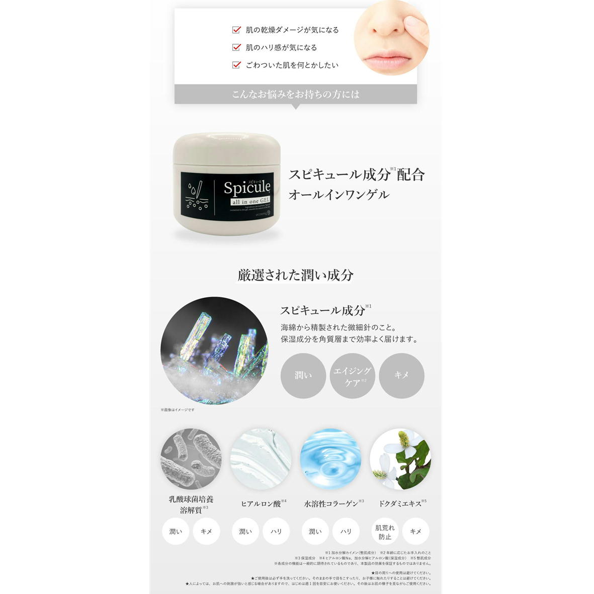 楽天市場】オールインワンゲル スピキュール 250g オールインワン