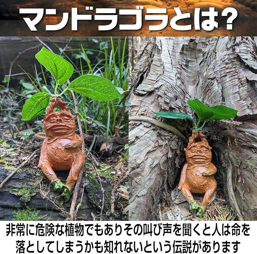 楽天市場】マンドレイク マンドラゴラ 面白い 置物 フィギュア