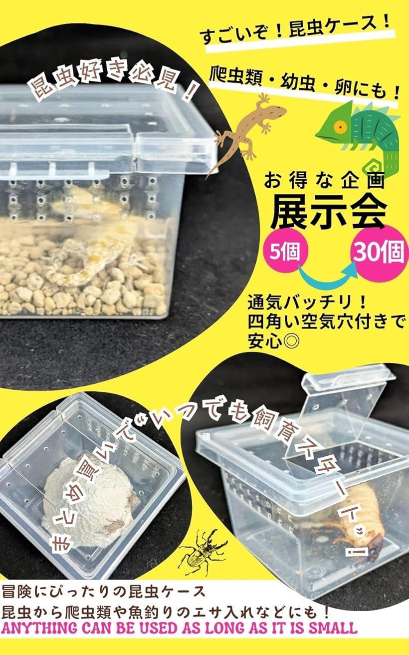 楽天市場】昆虫飼育ケース 小型 コンテナ ボックス 空気穴付き