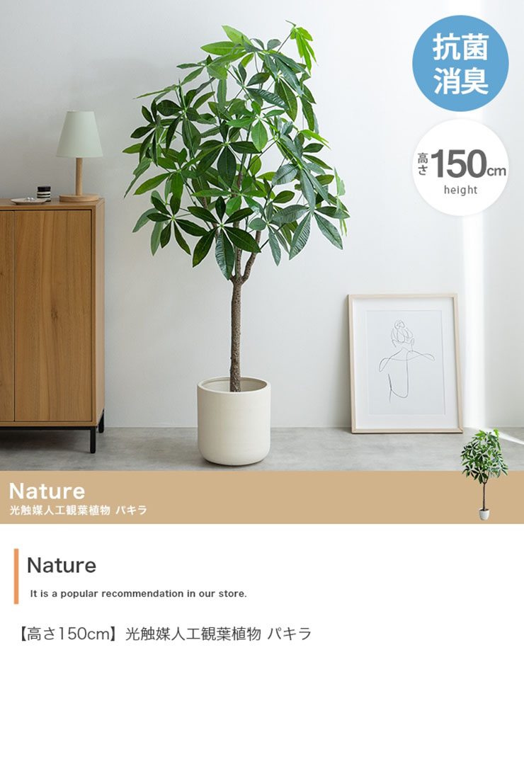 楽天市場】【ポイント10倍!1日20時〜23:59】フェイクグリーン 観葉植物